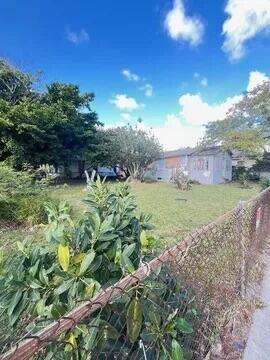 Miami photo 2