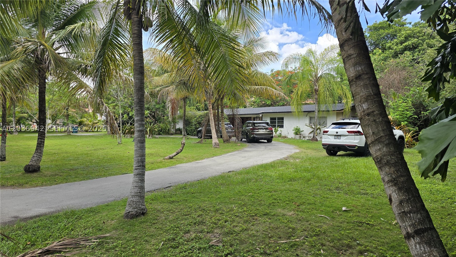 Miami photo 1