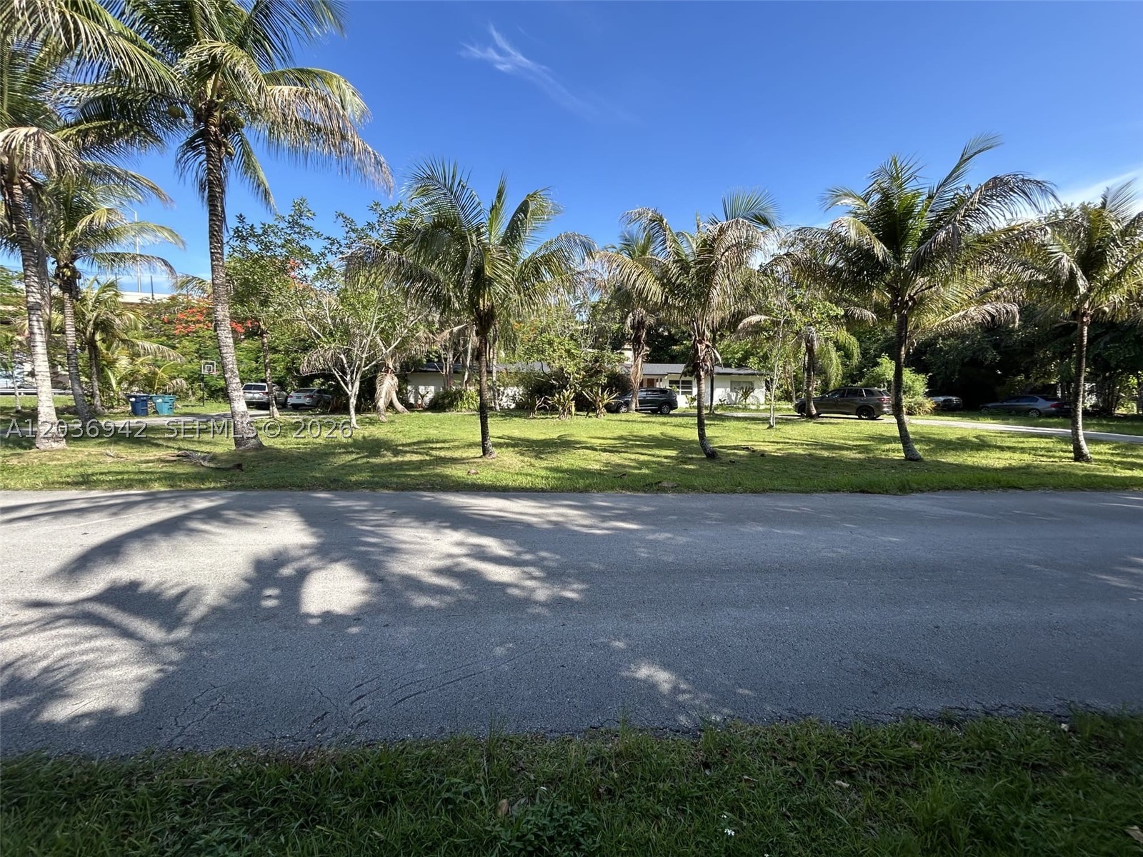 Miami photo 2
