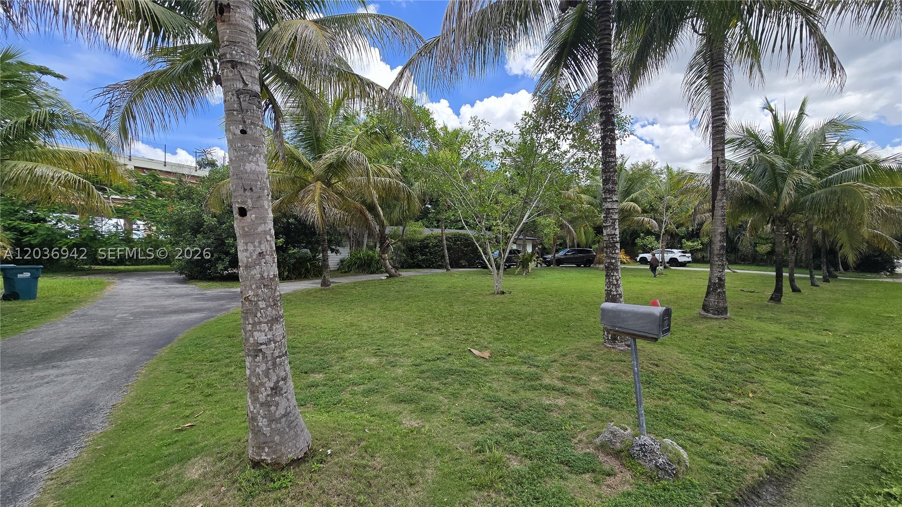 Miami photo 3