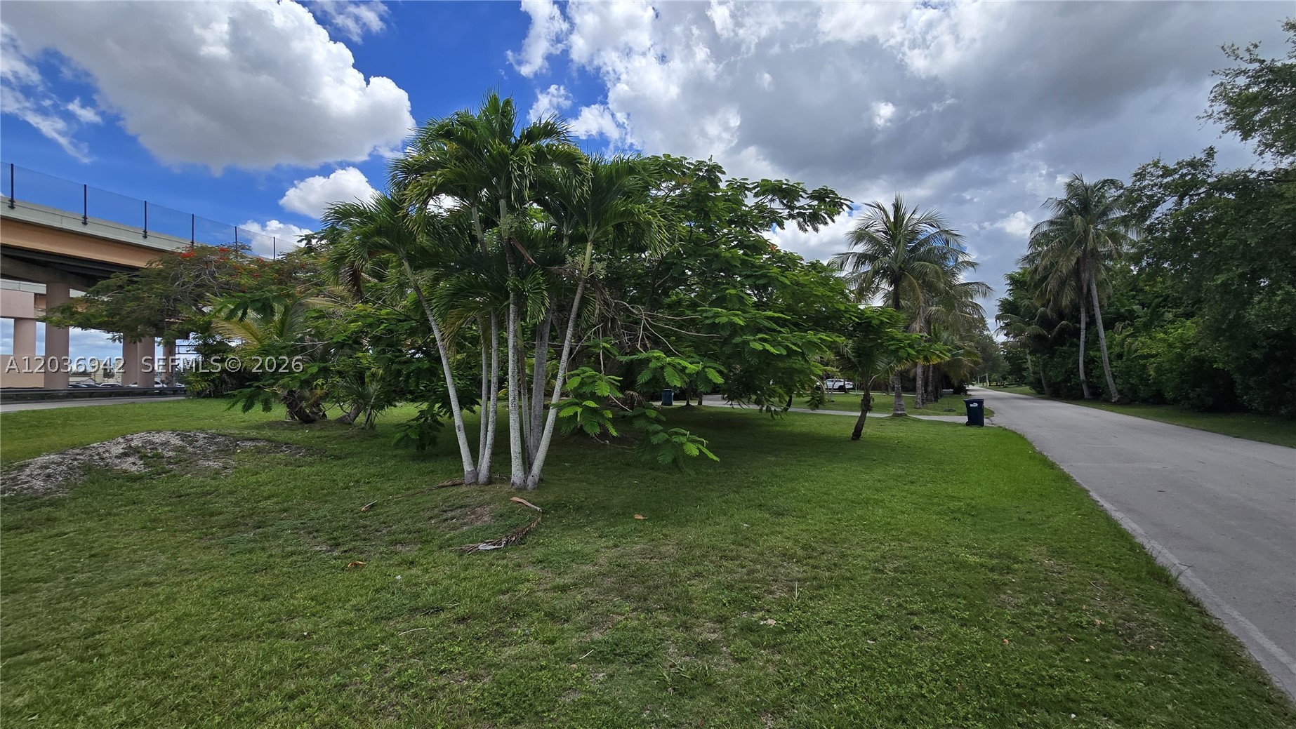 Miami photo 4