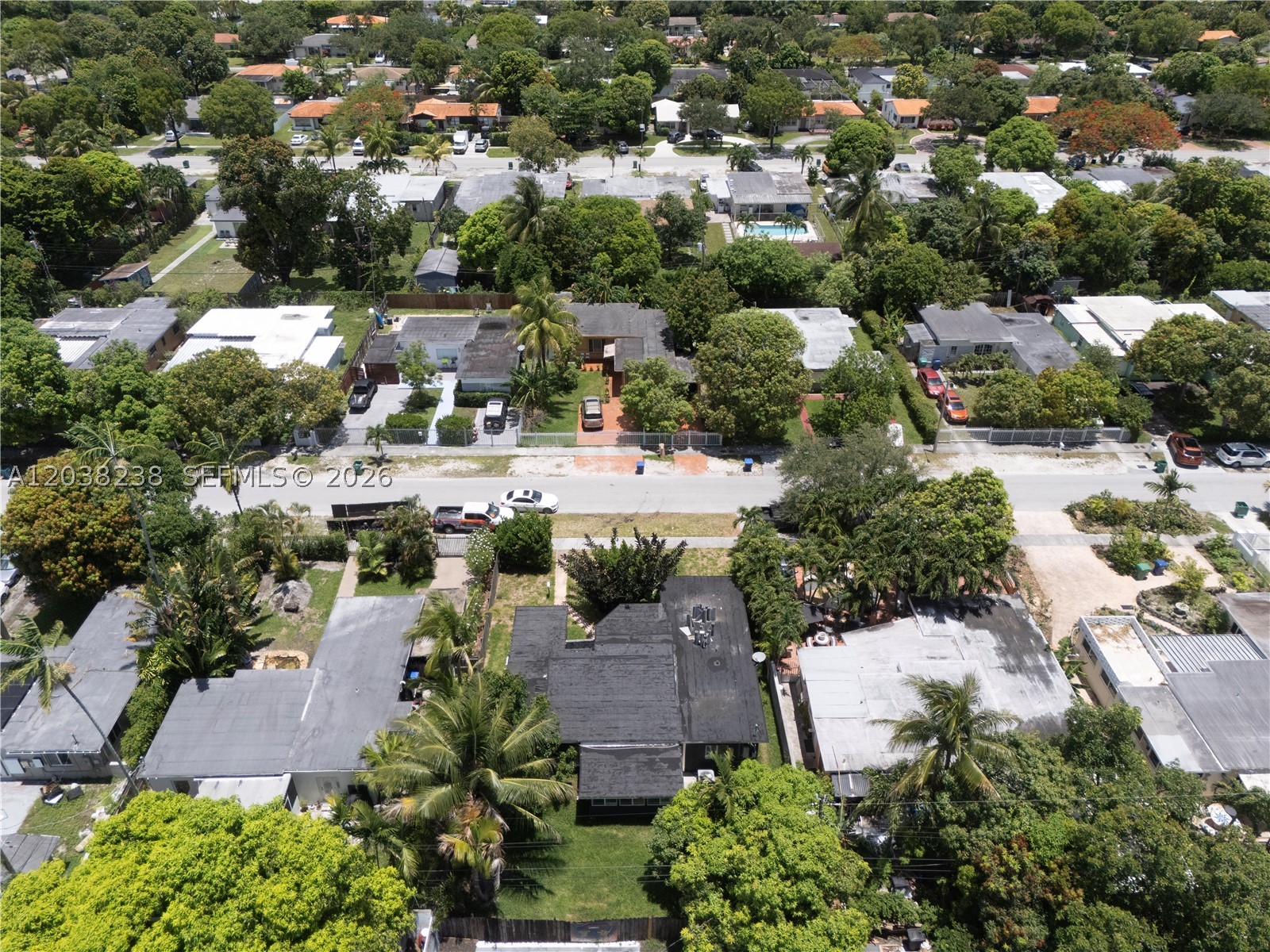 Miami photo 5