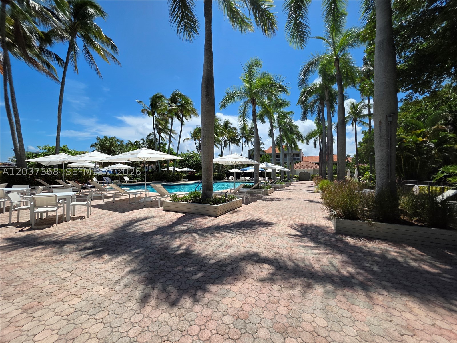 Aventura photo 3