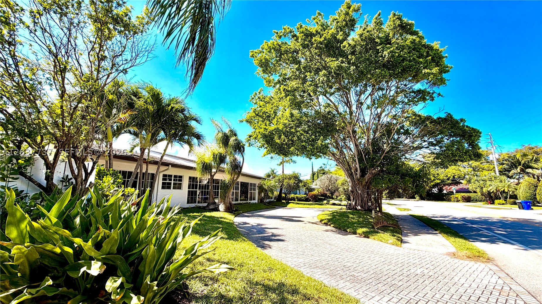 Fort Lauderdale photo 5