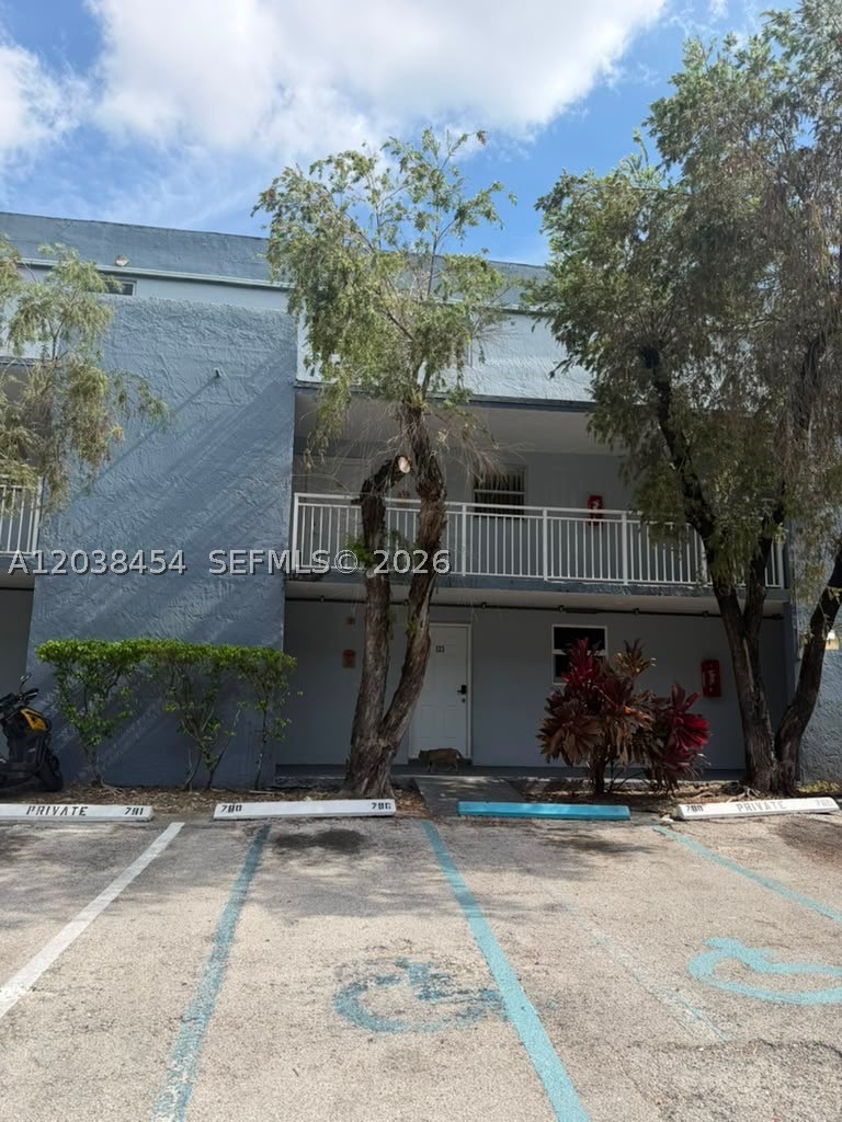 Miami photo 2