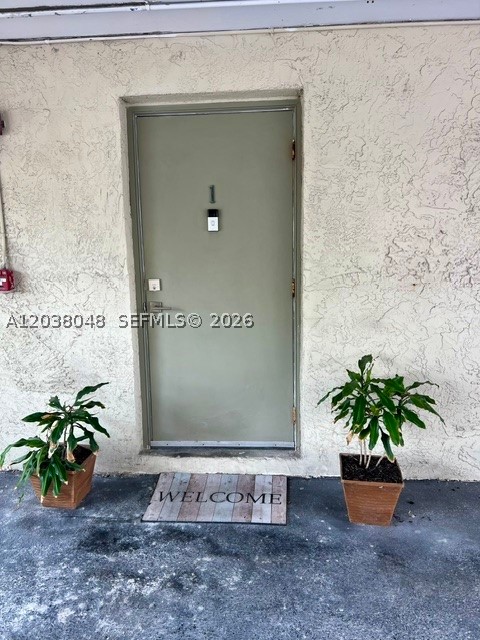 Miami photo 2