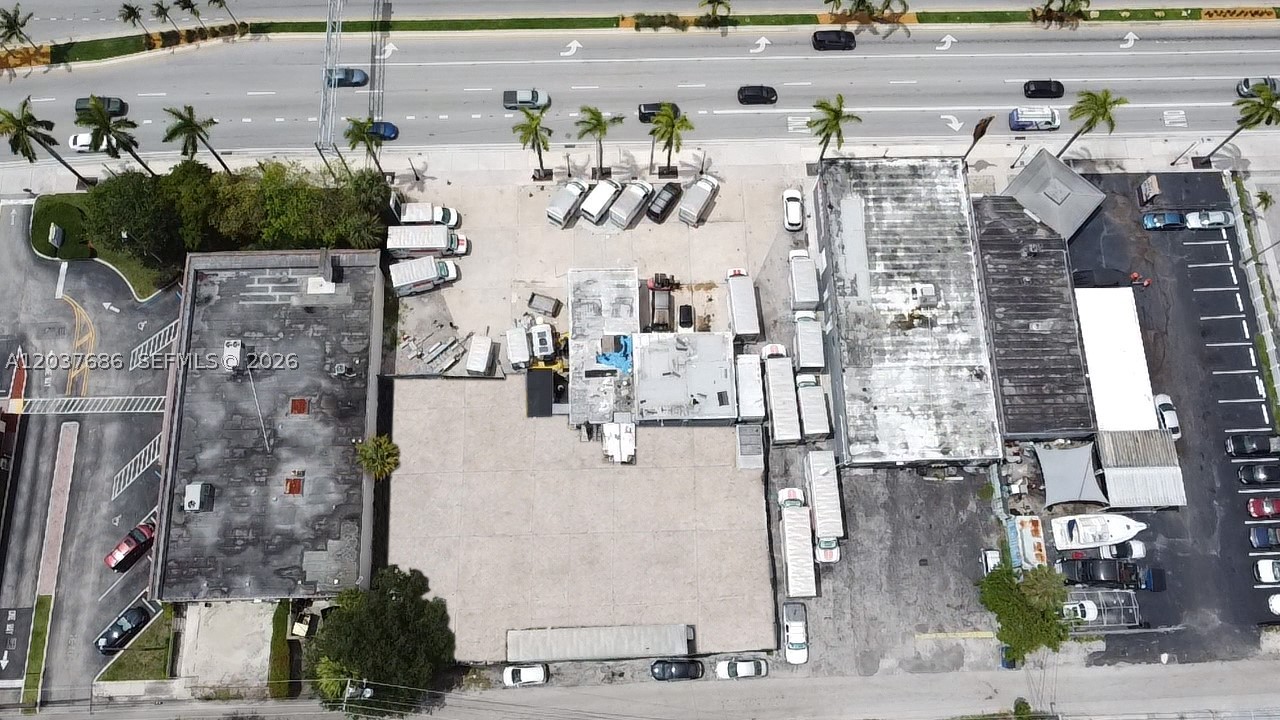 Hollywood photo 2