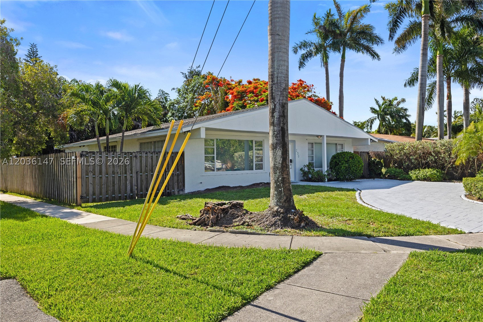 Dania Beach photo 4