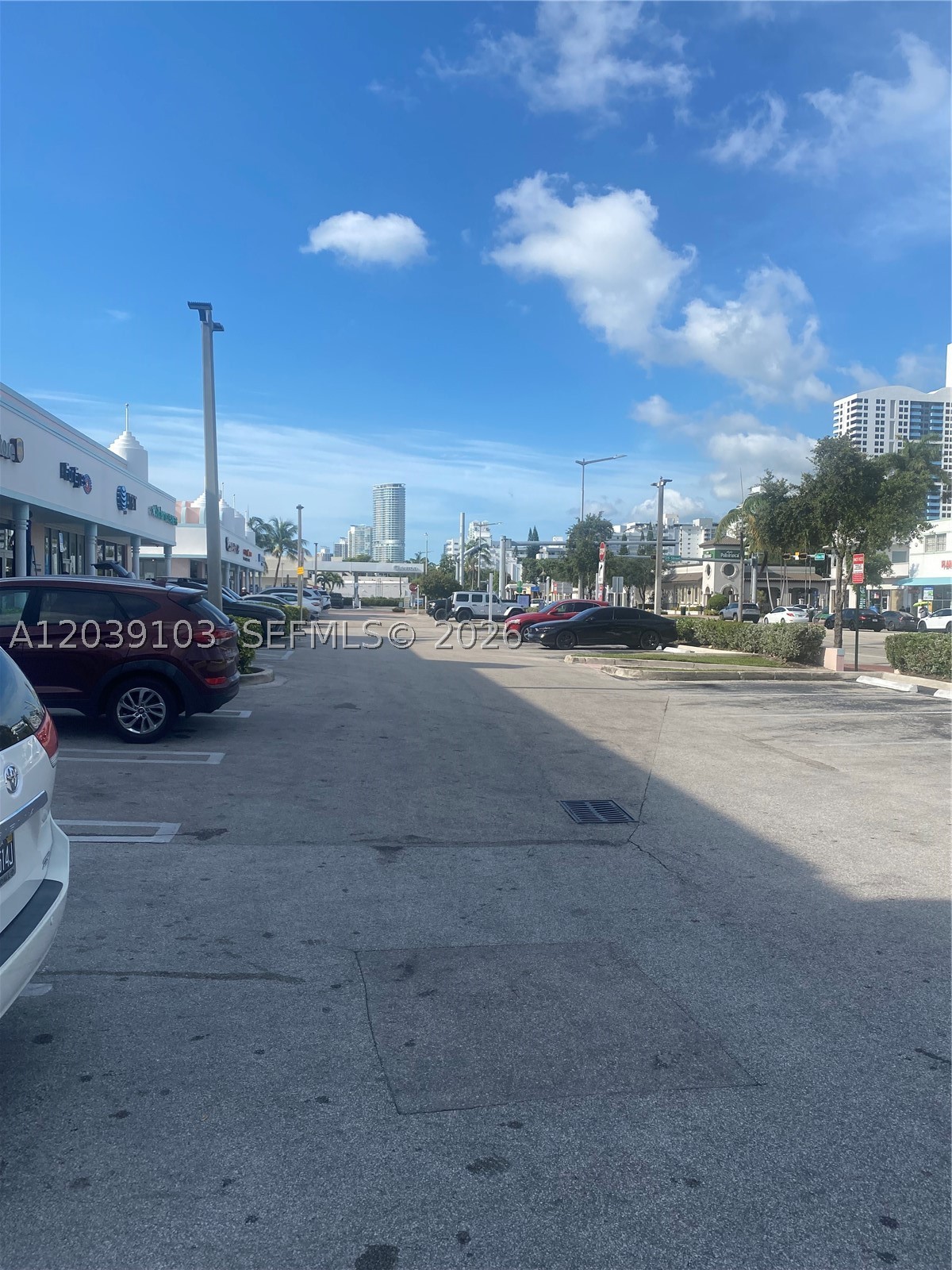 Miami Beach photo 4