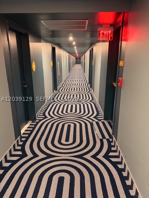 Miami photo 3