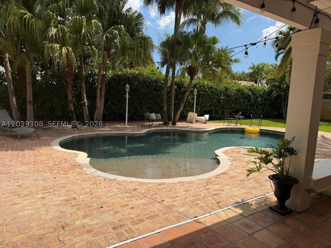 Miami photo 4