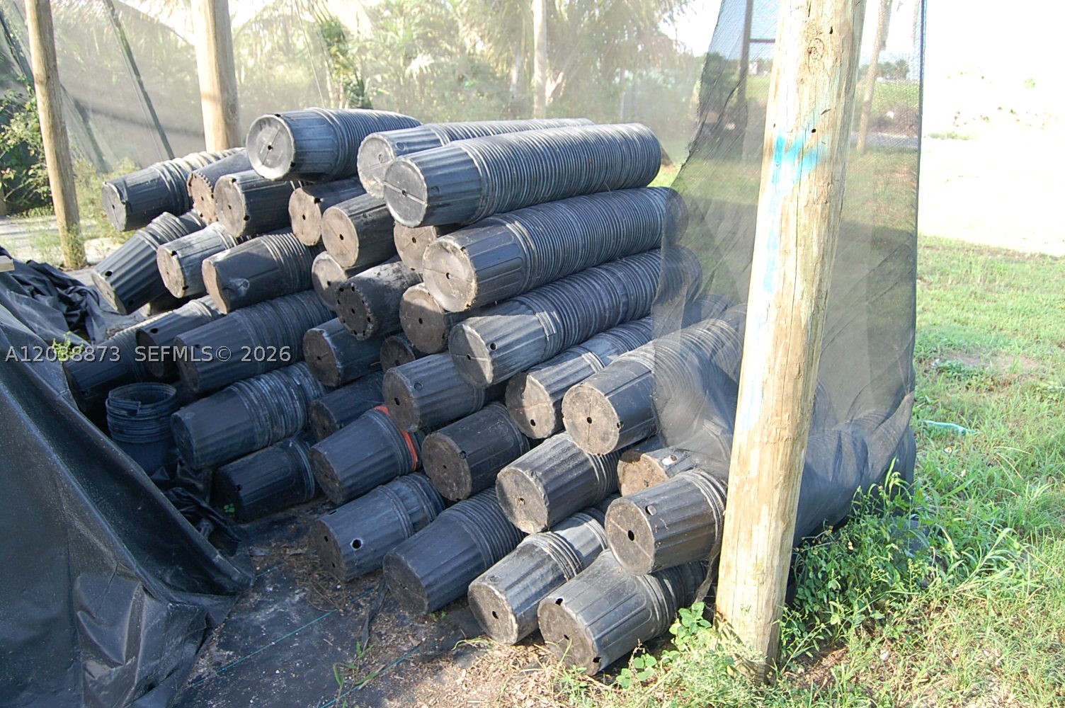 Homestead photo 2