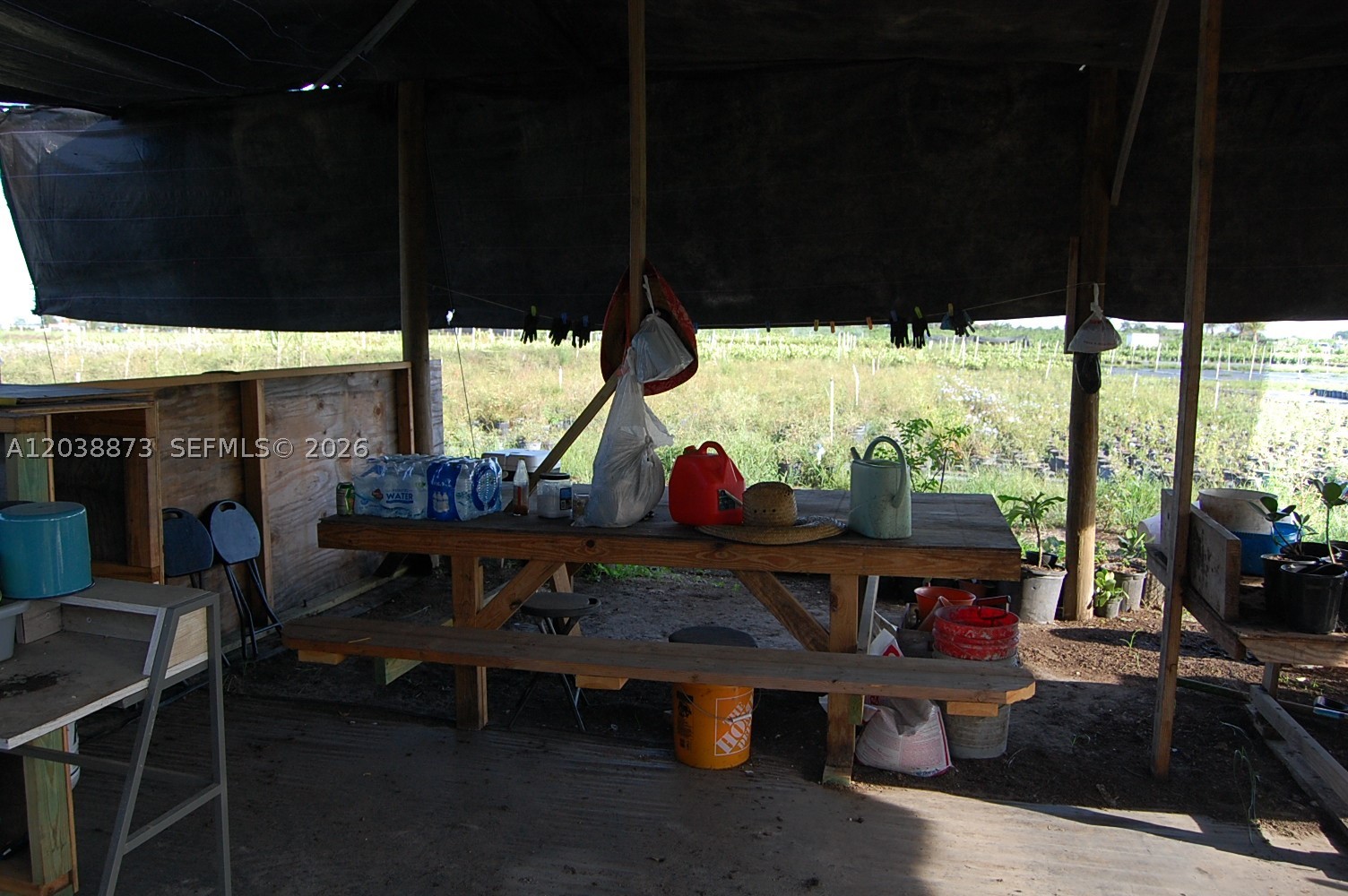 Homestead photo 3