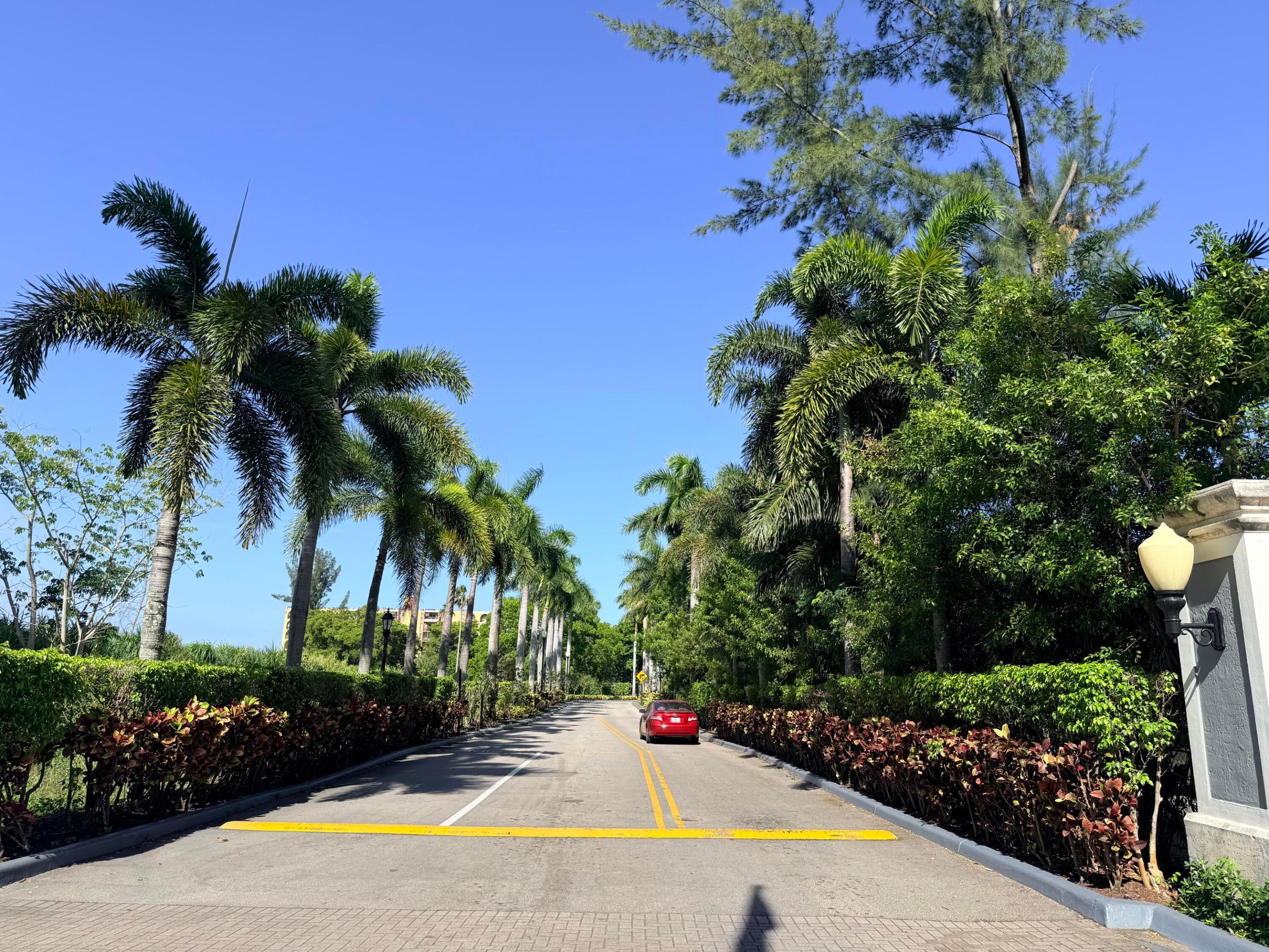 Miami photo 3