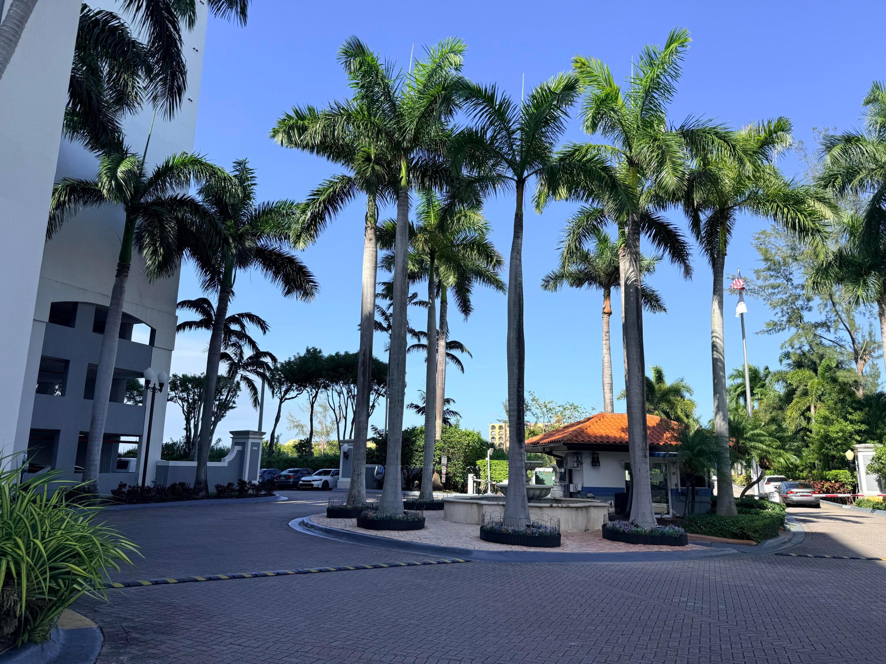 Miami photo 4