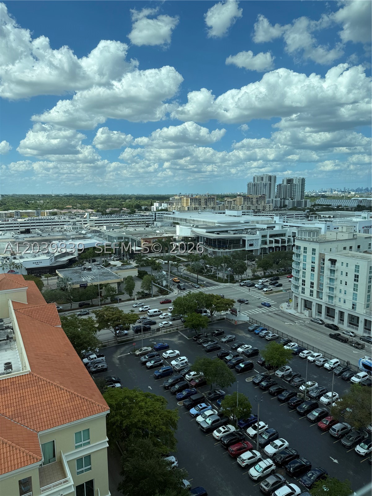 Miami photo 4