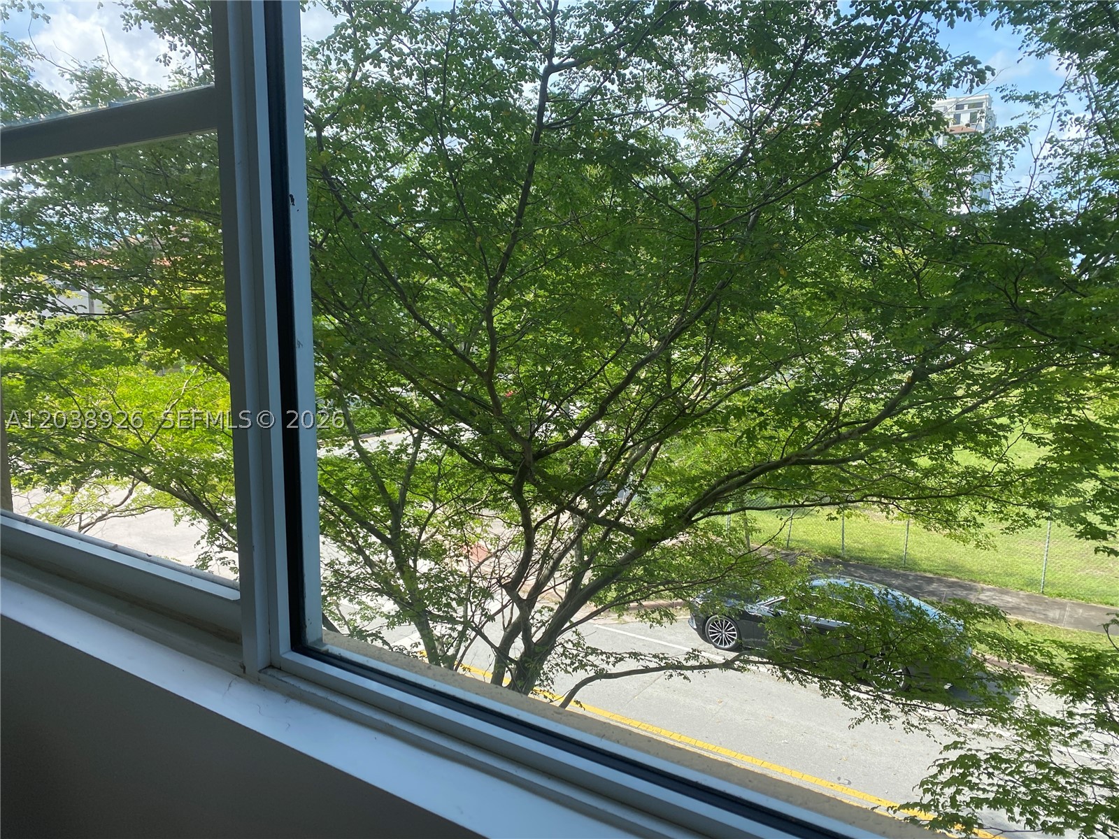 Coral Gables photo 5