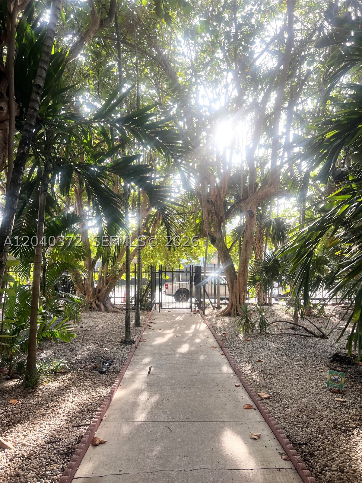 Miami photo 3