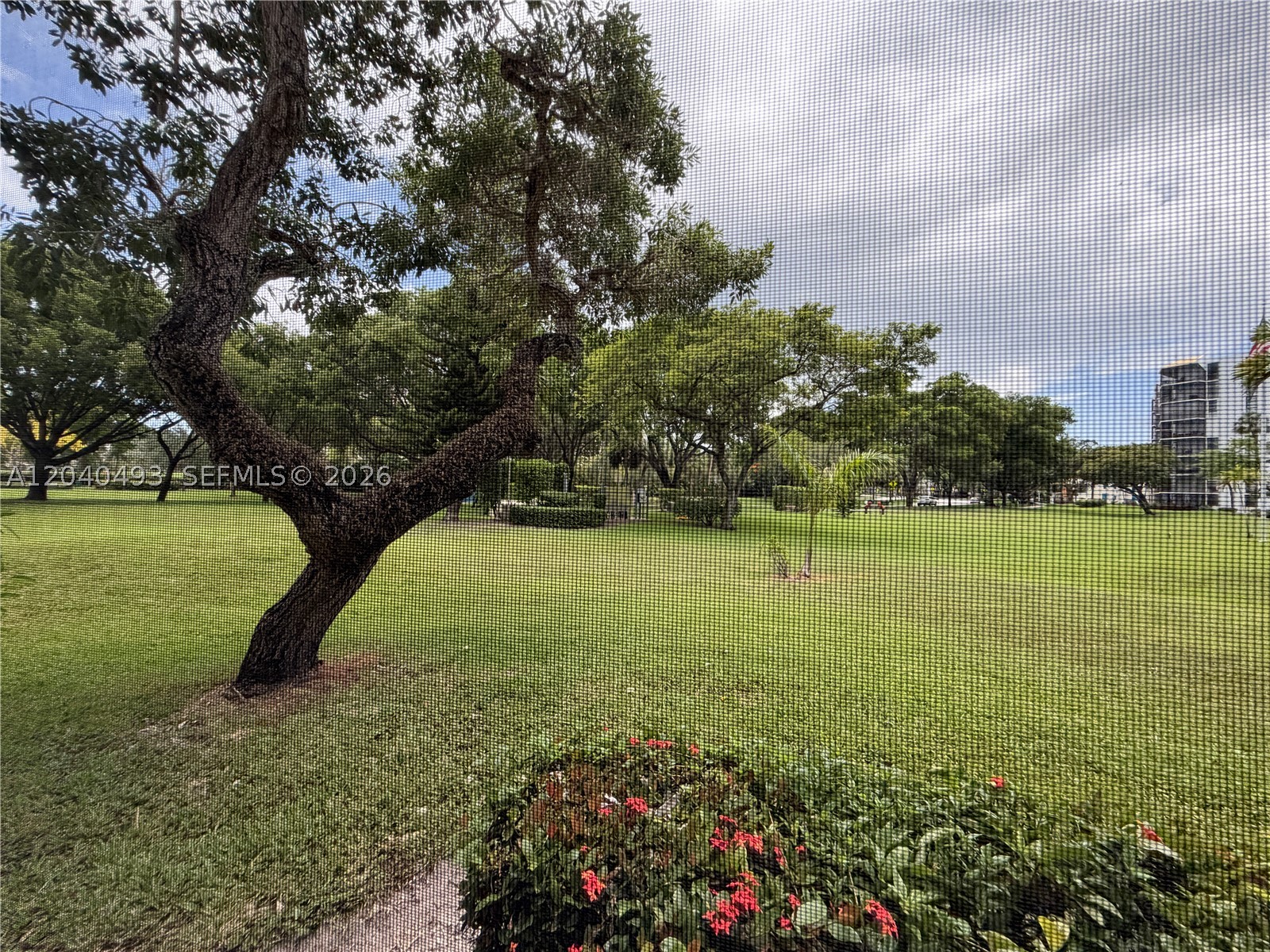 Aventura photo 4
