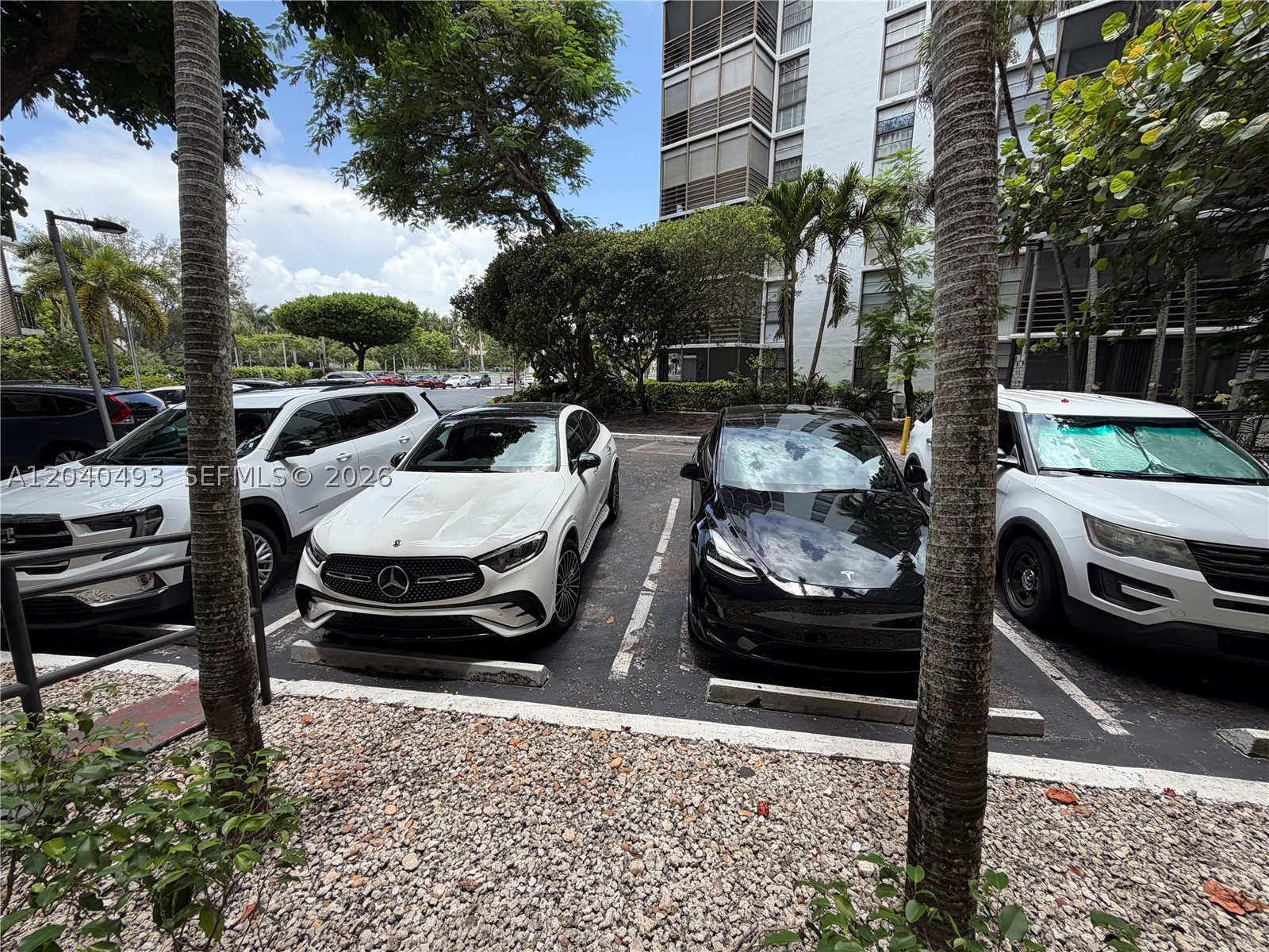 Aventura photo 5