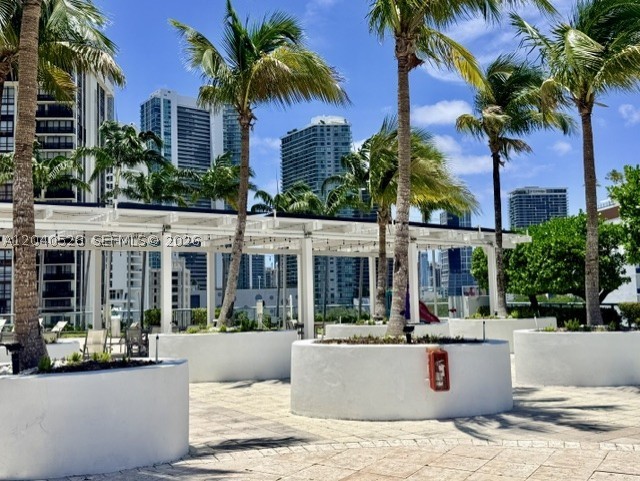 Miami photo 4