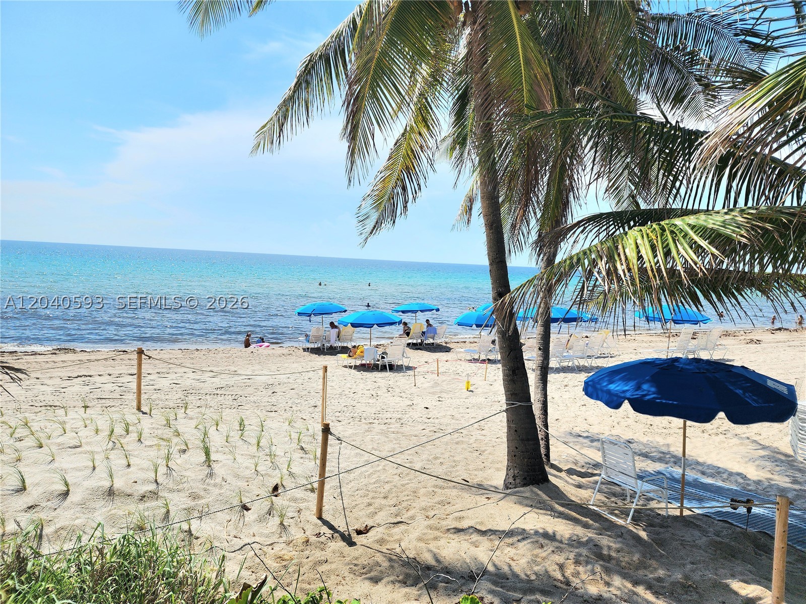 Hallandale Beach photo 1