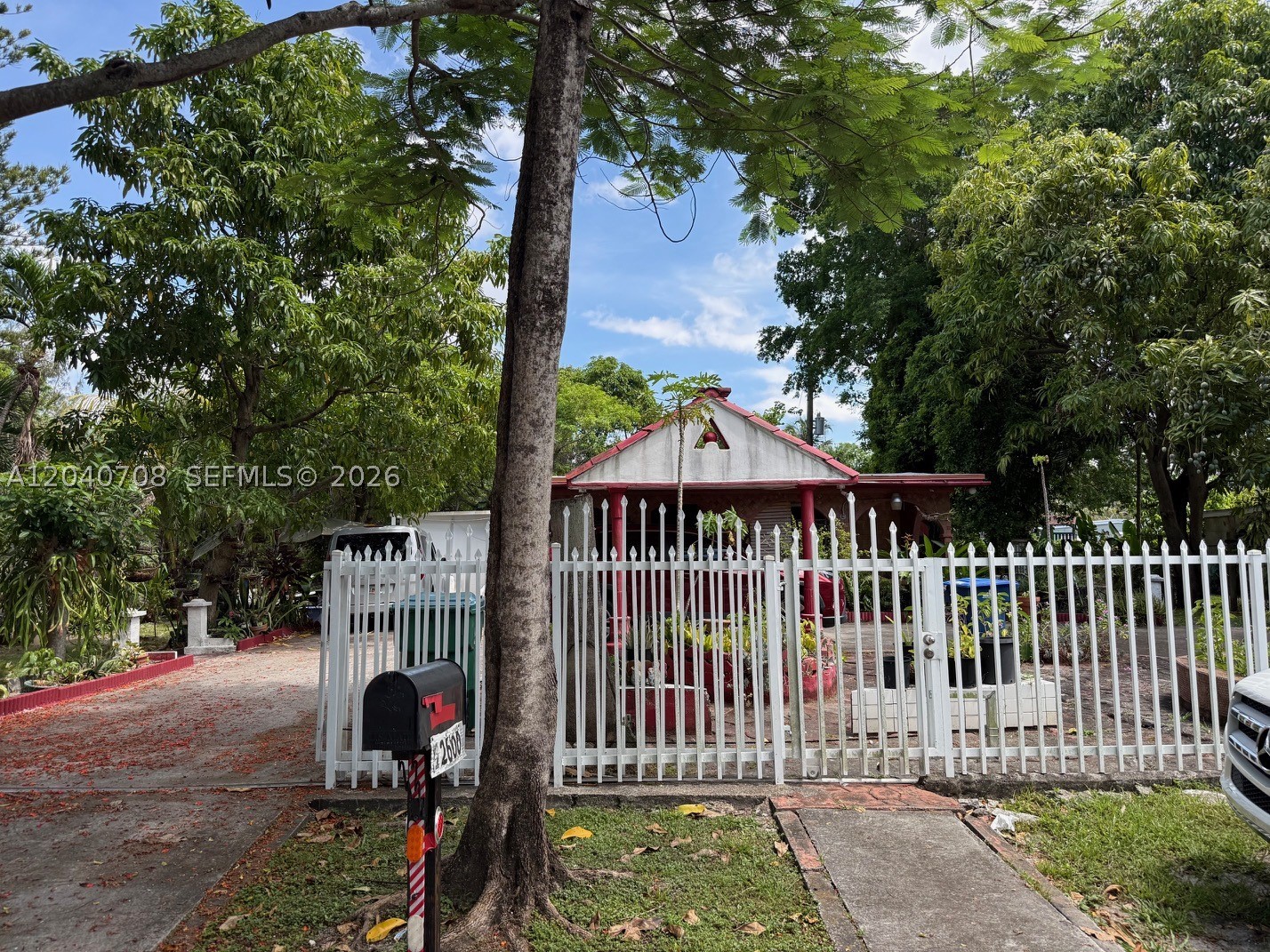 Miami photo 2