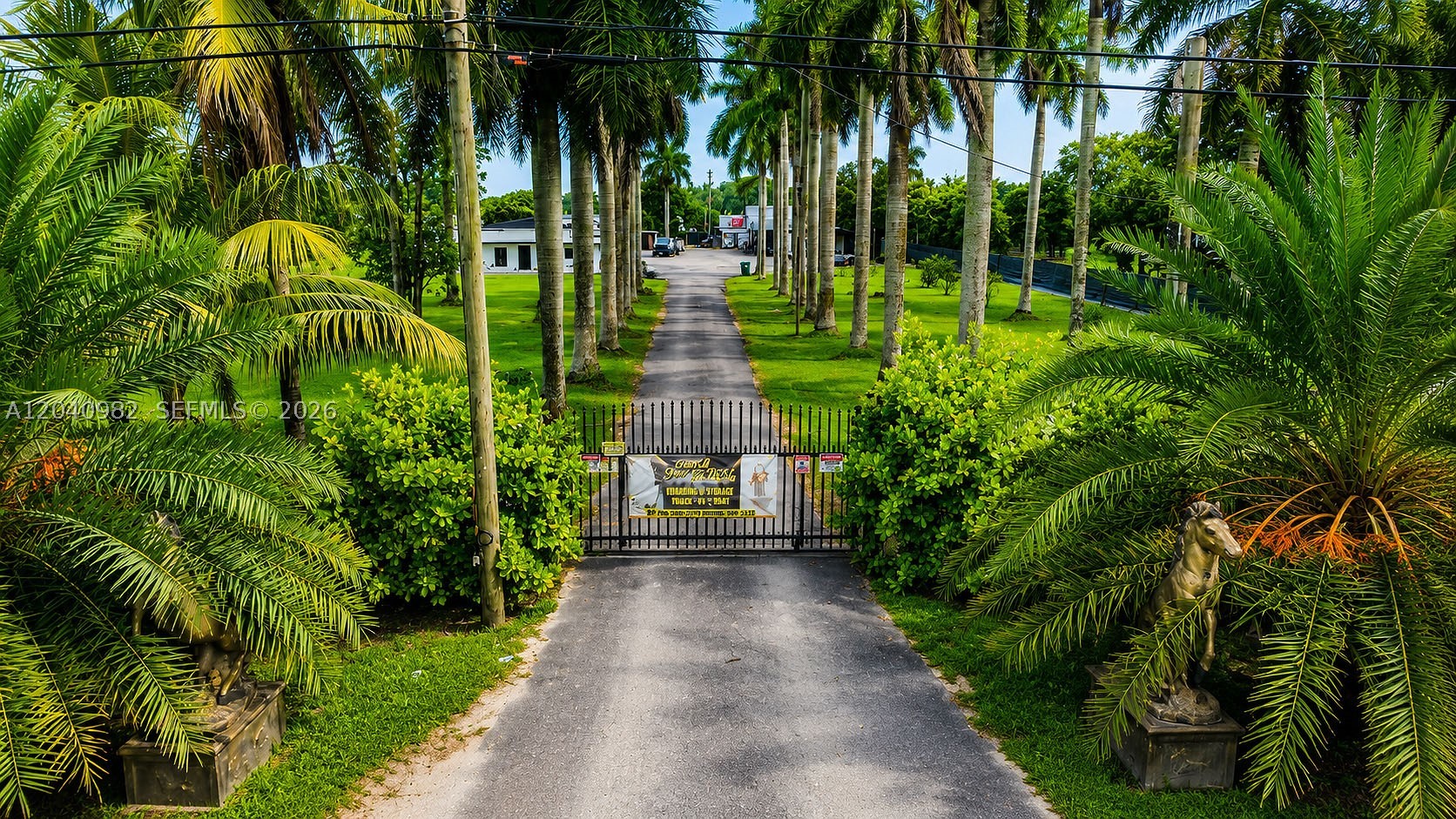 Miami photo 1