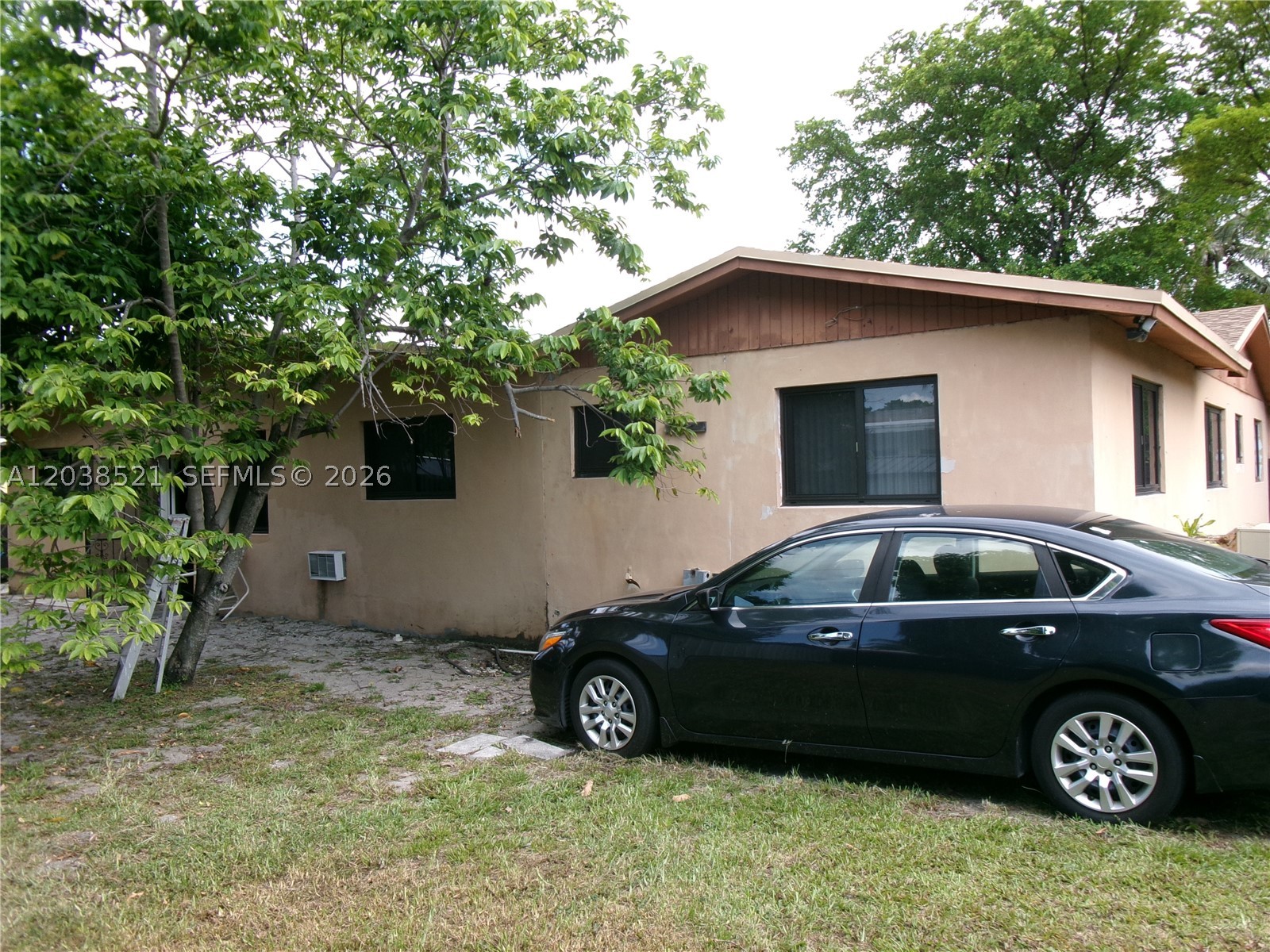Miami photo 3