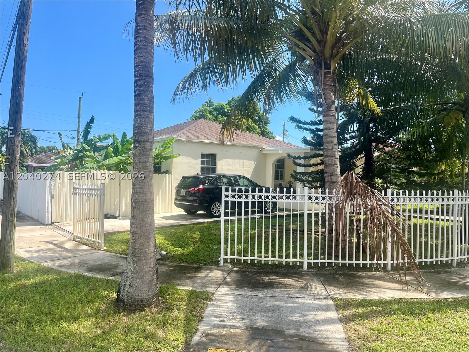 Miami photo 1