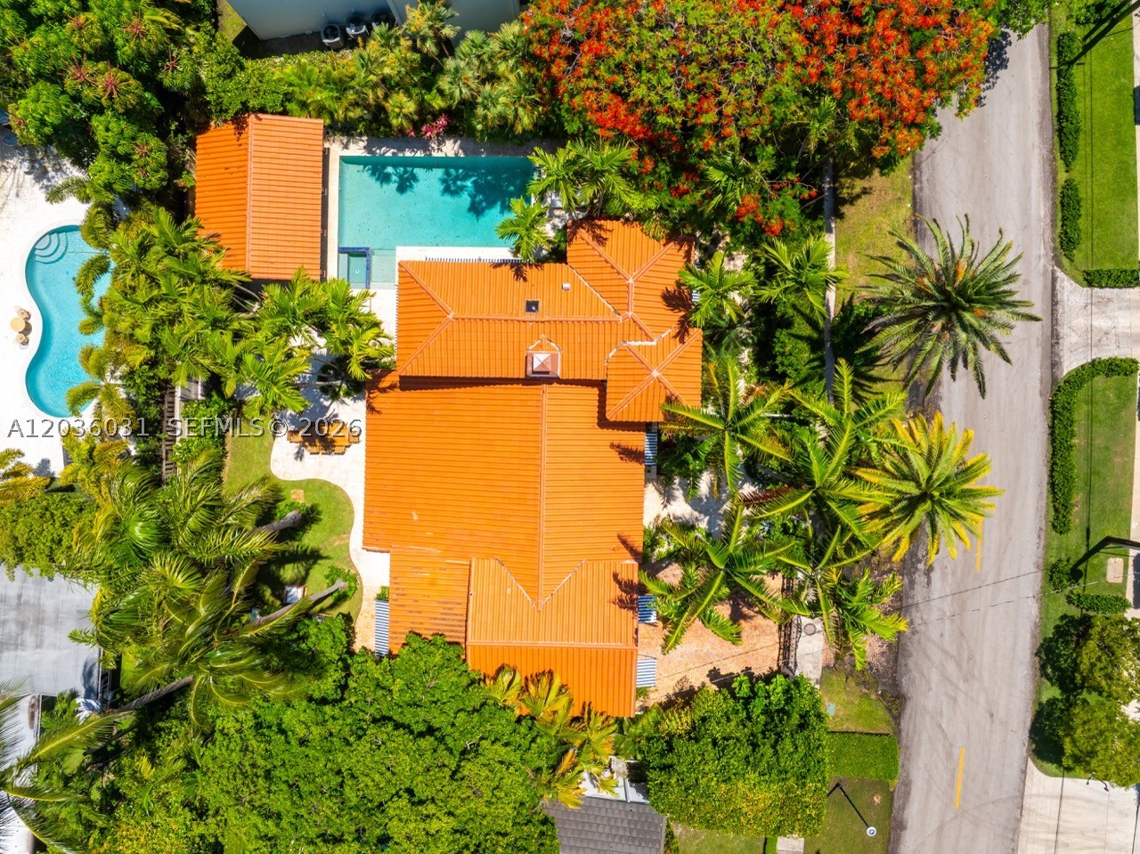 Miami Beach photo 4