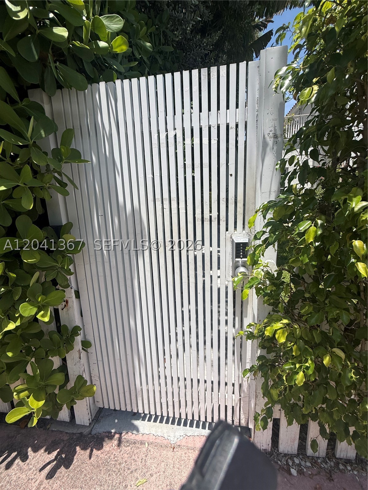 Miami Beach photo 2