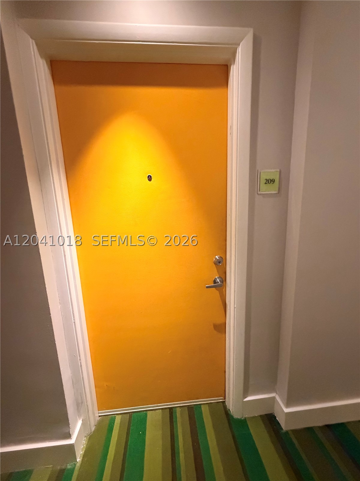 Miami photo 5