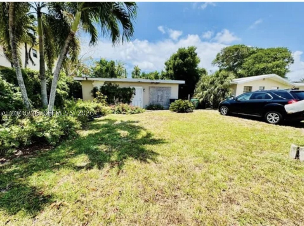 Miami photo 3
