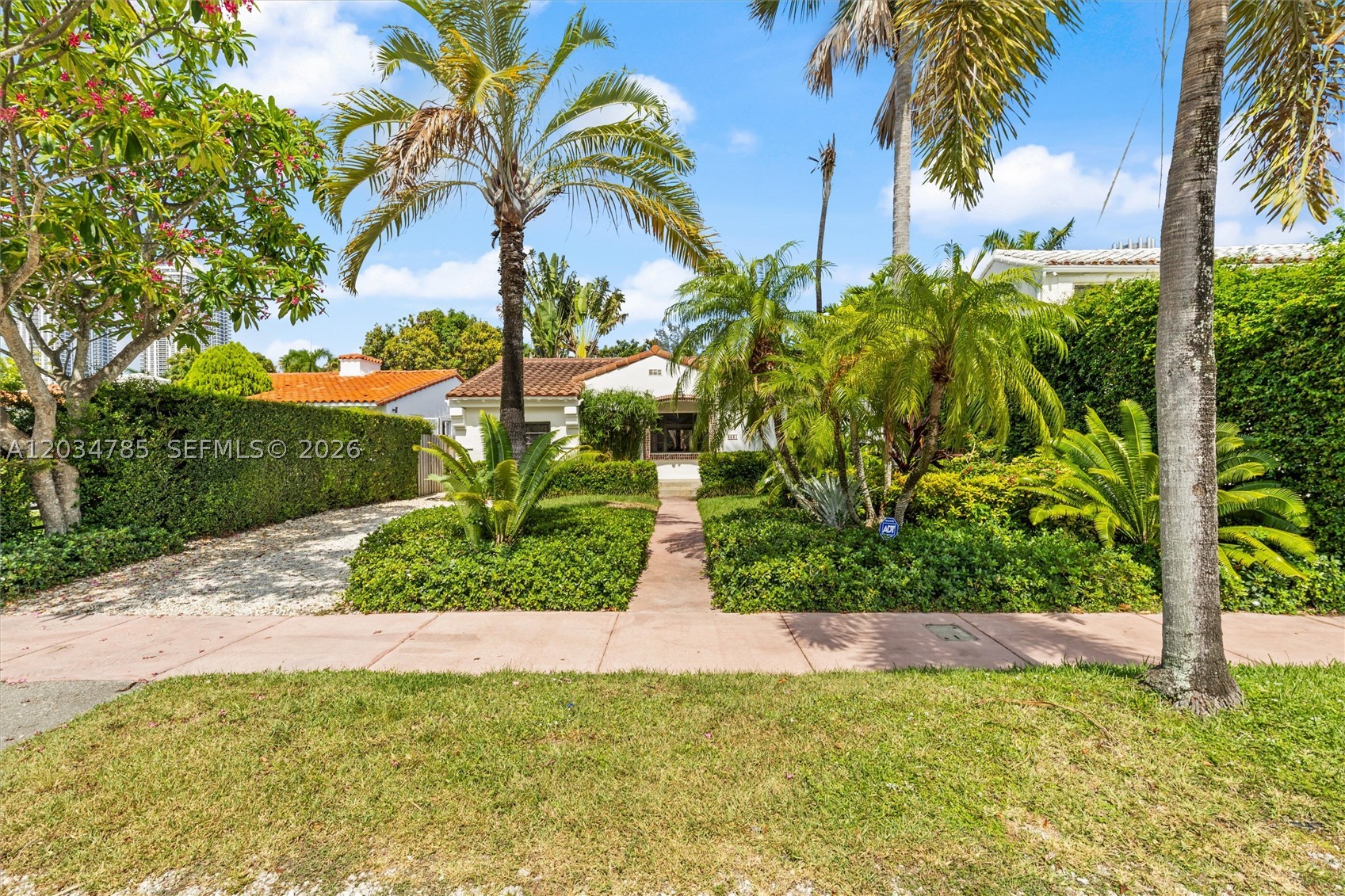 Miami Beach photo 5