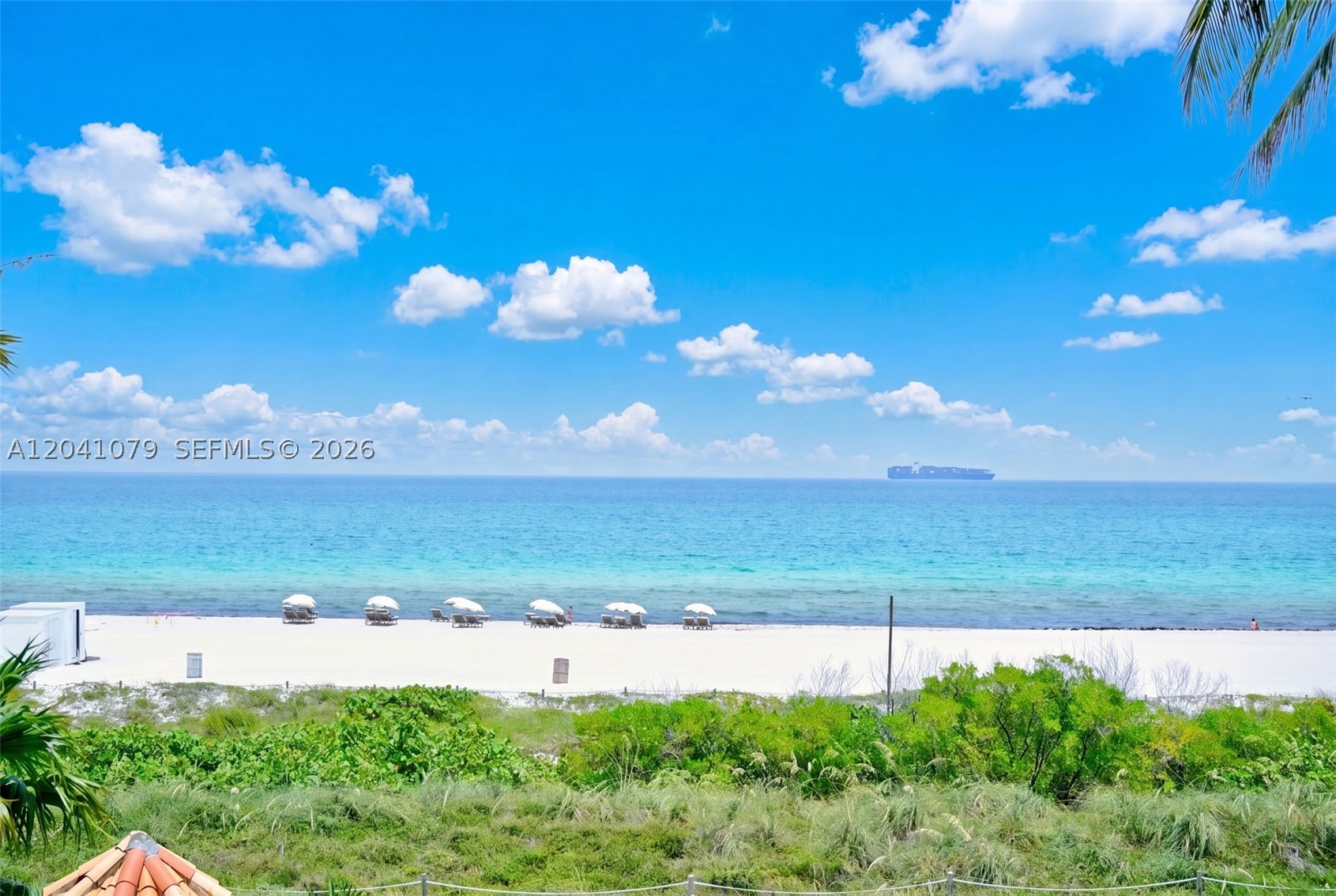 Miami Beach photo 2