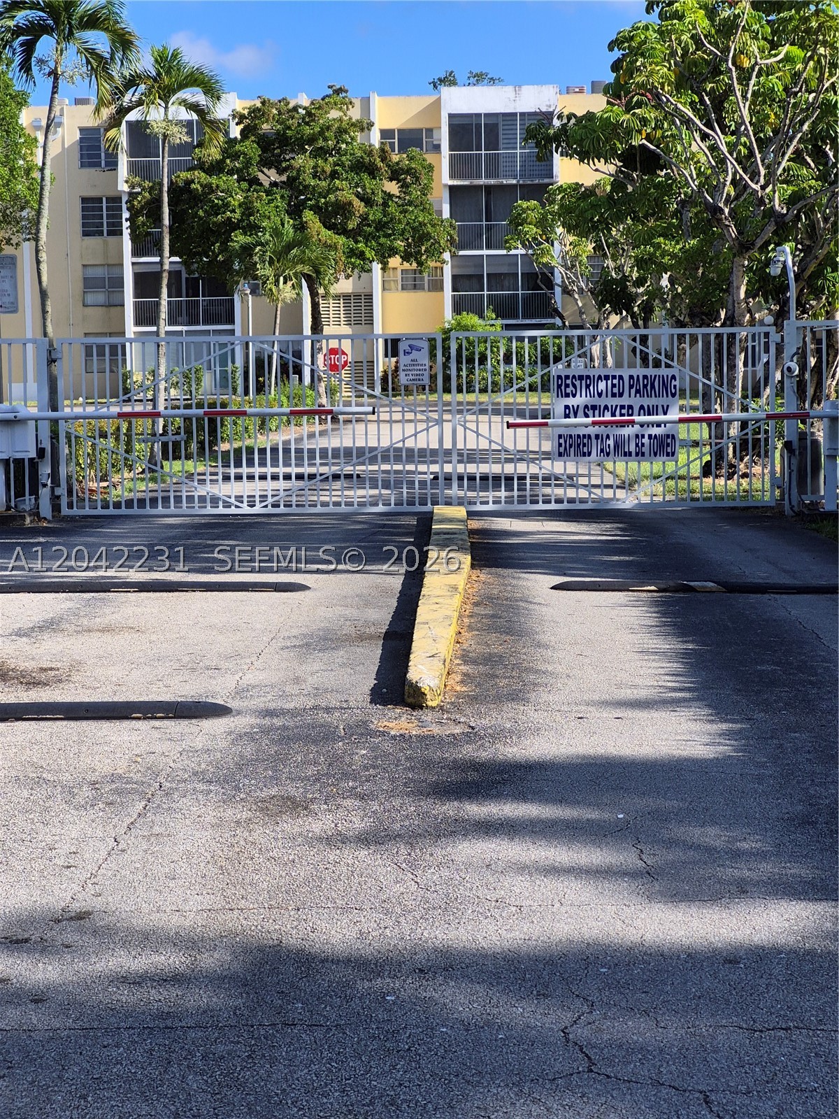 Miami photo 2