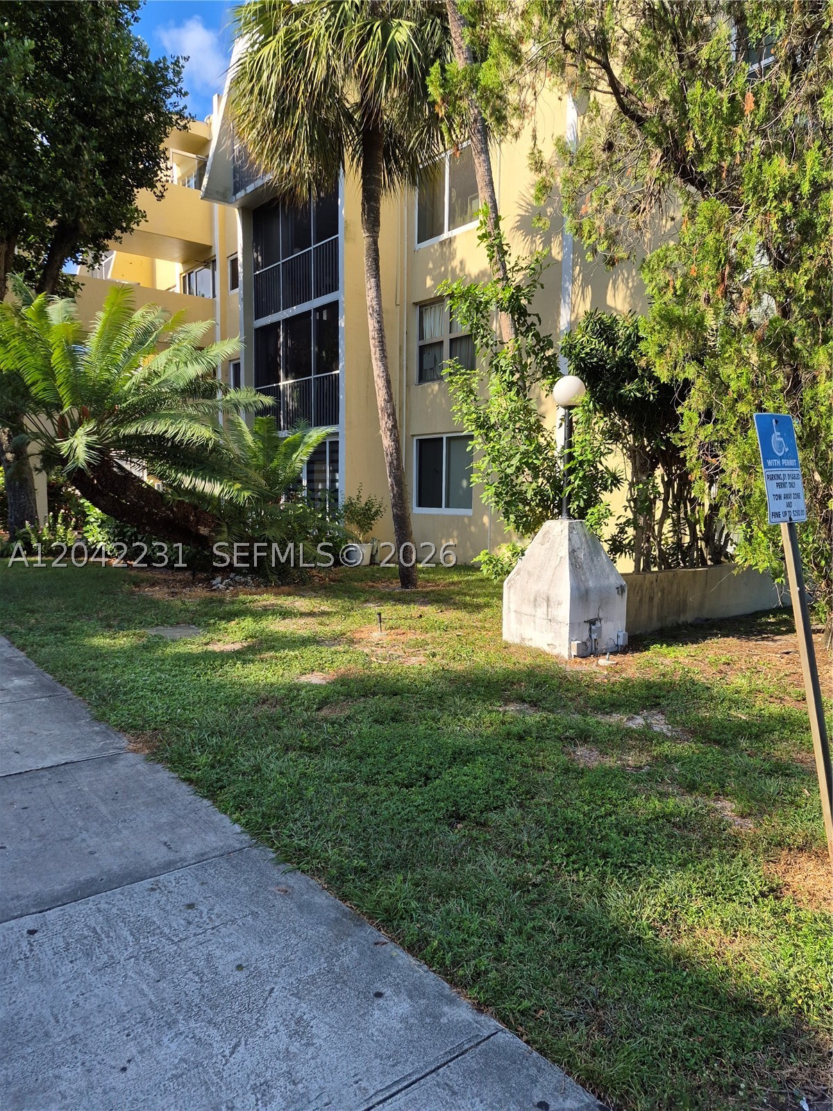 Miami photo 5