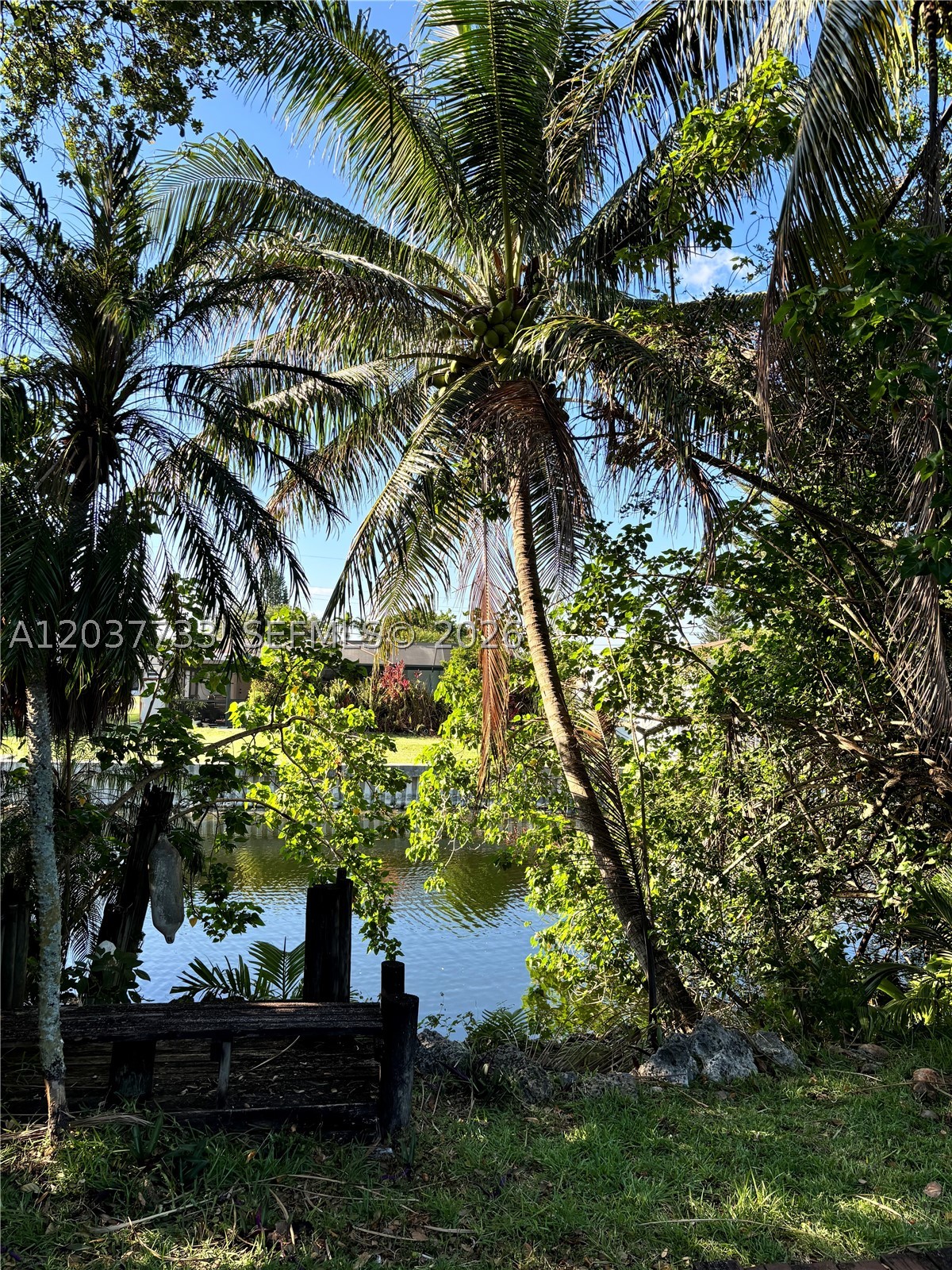 Davie photo 2