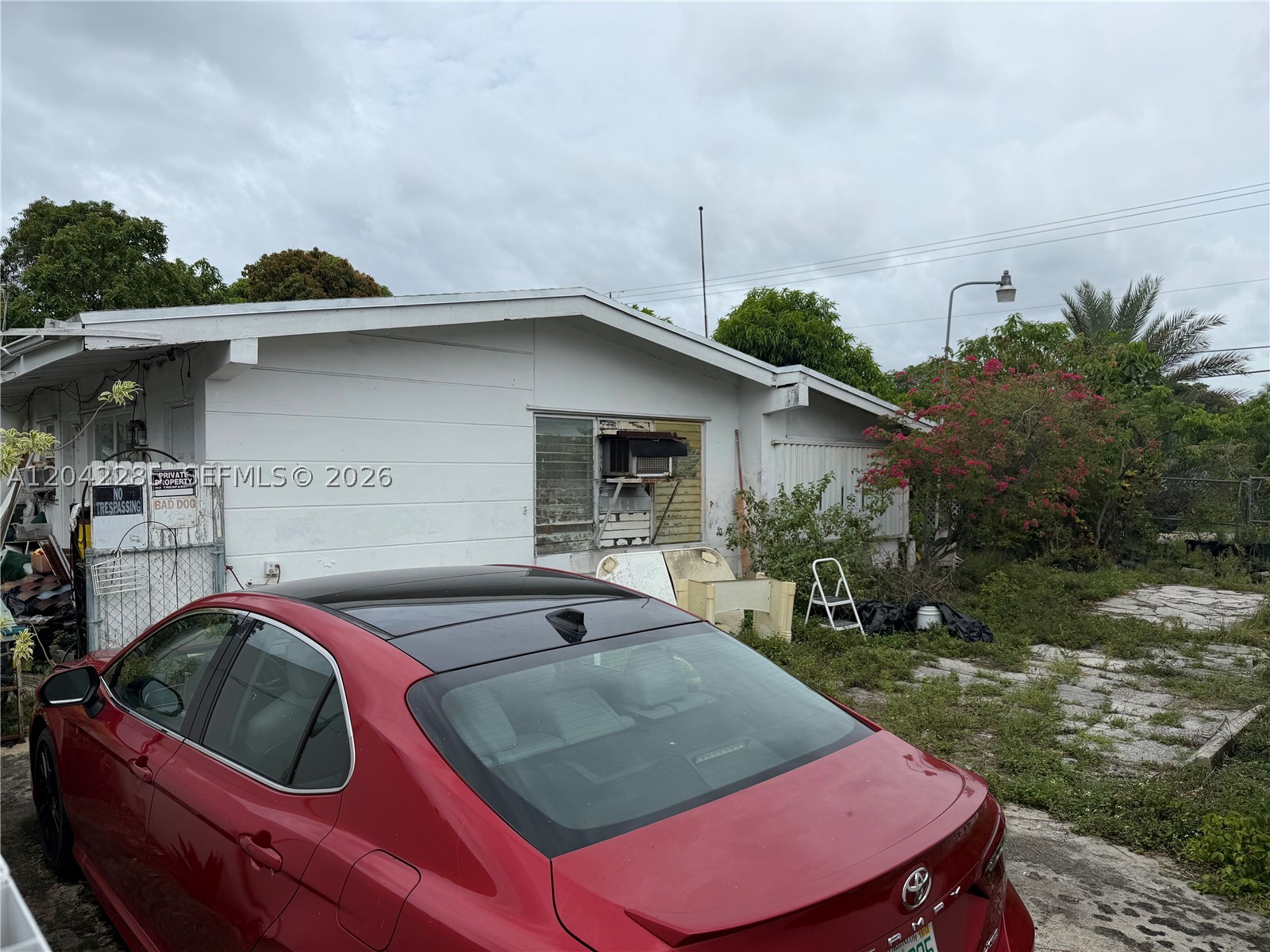 Miami photo 1