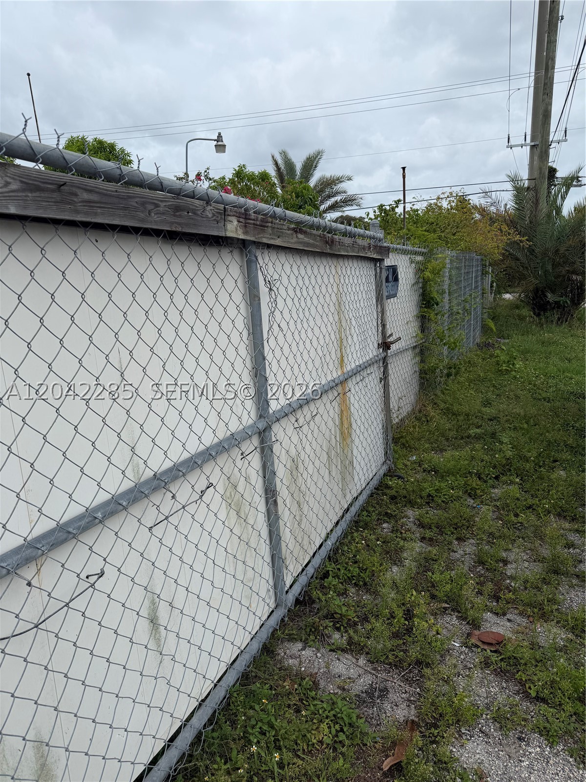 Miami photo 3