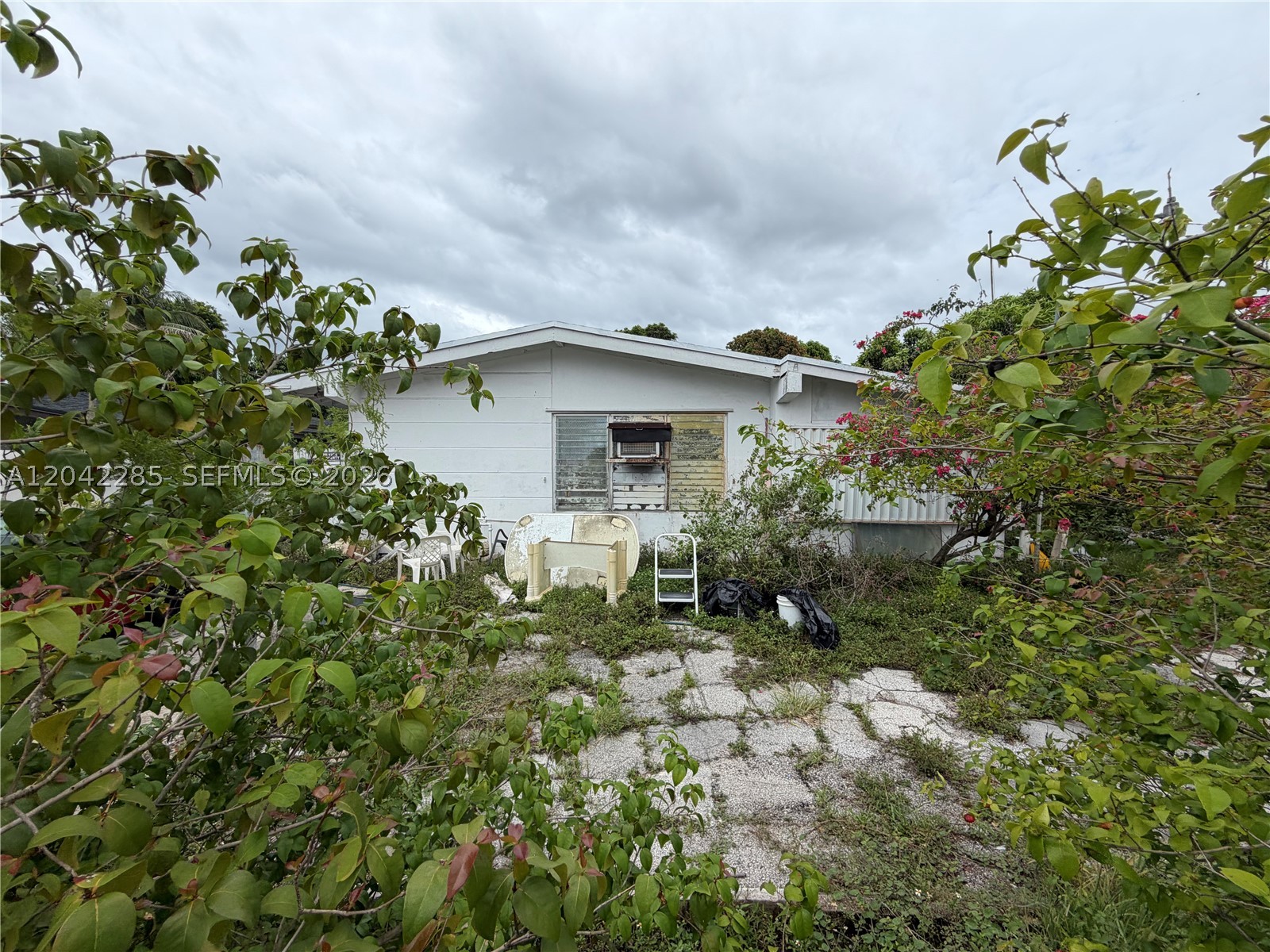 Miami photo 4