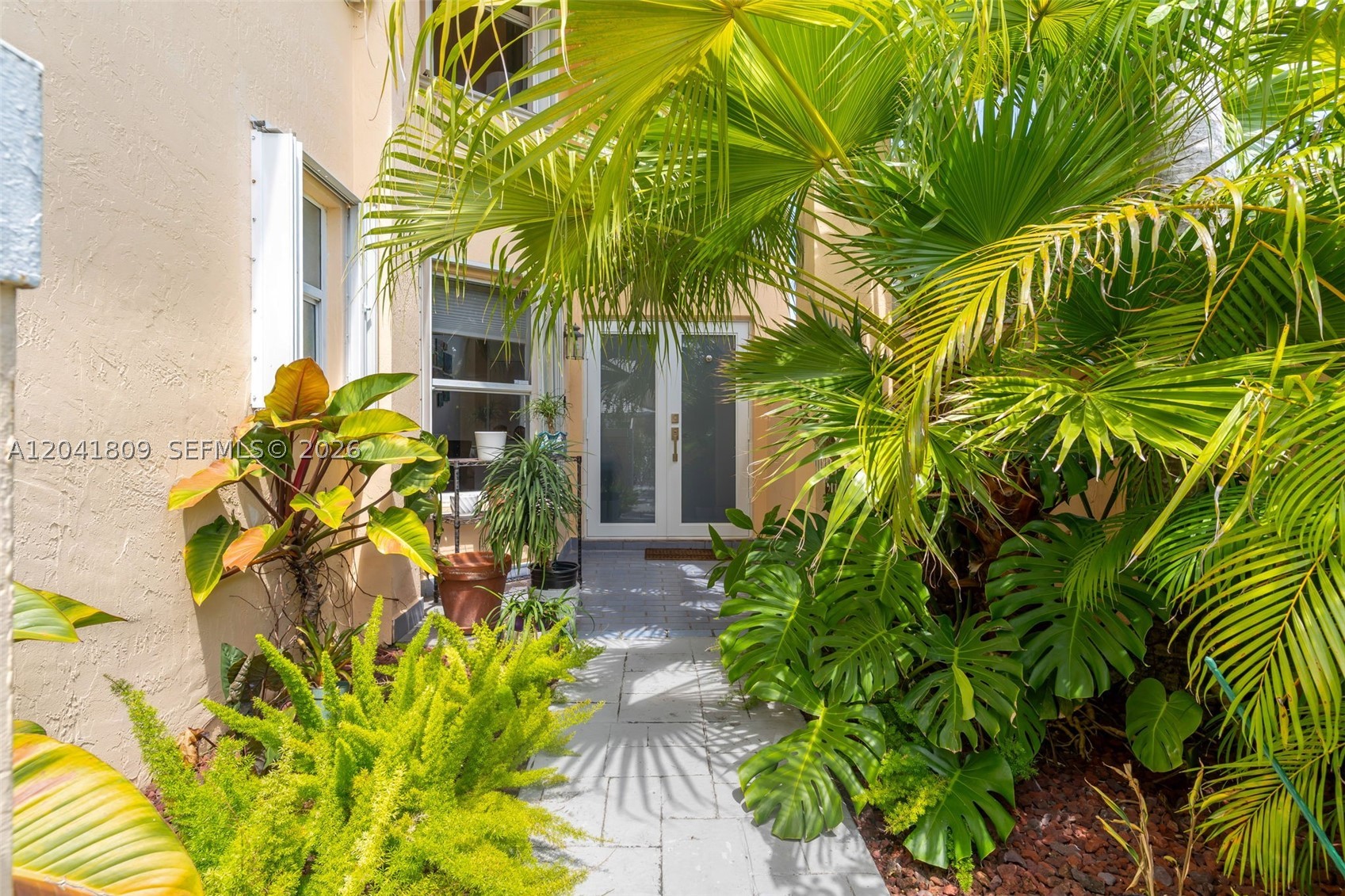 Miami photo 4