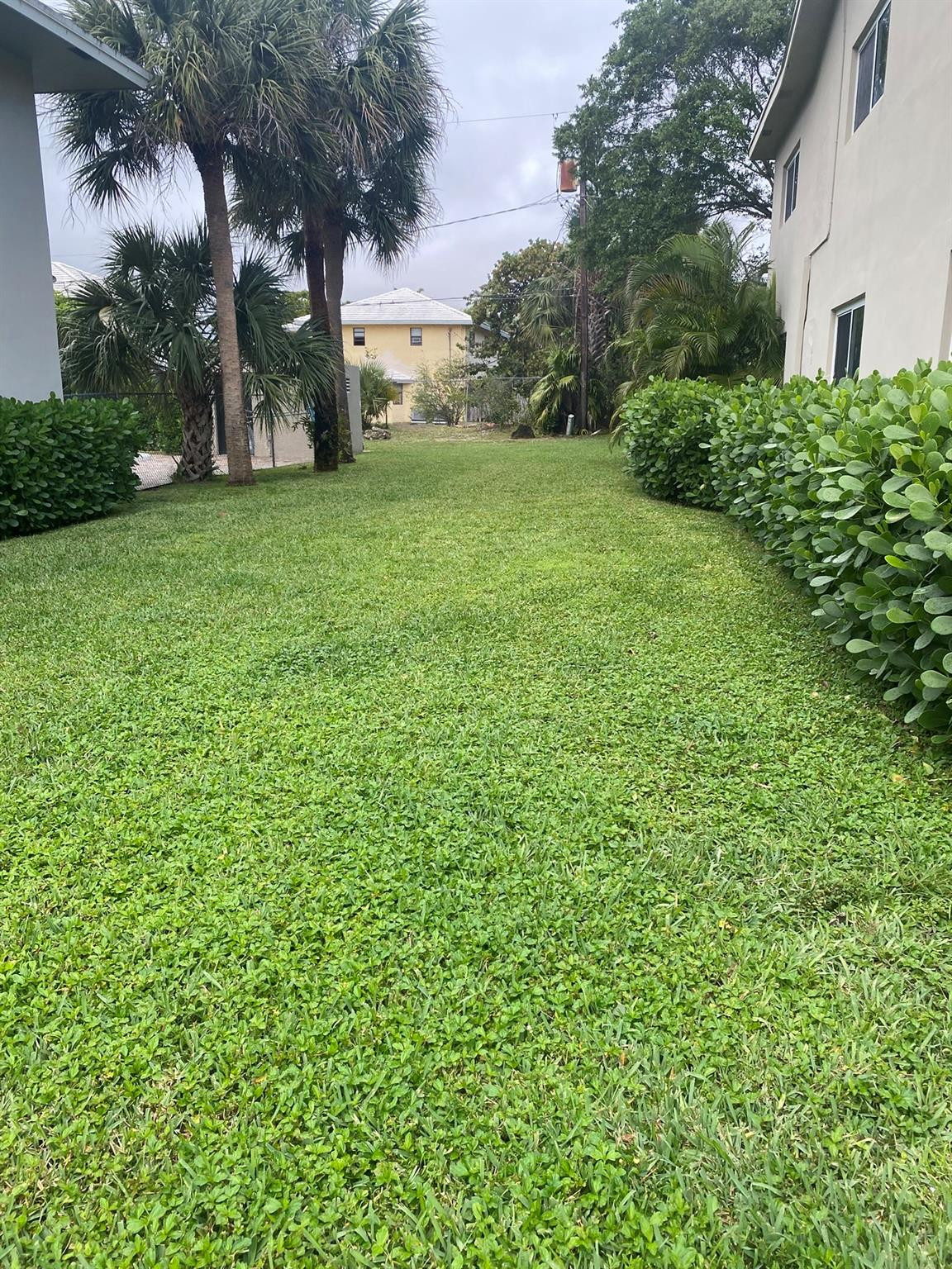 Boca Raton photo 2