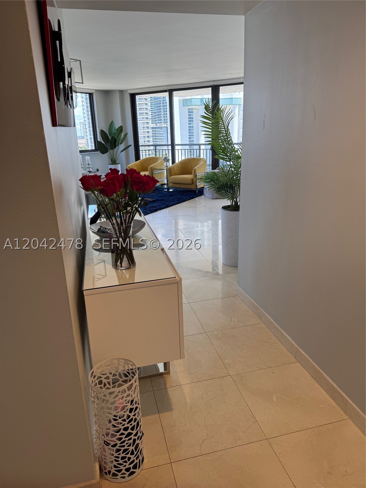 Miami photo 5