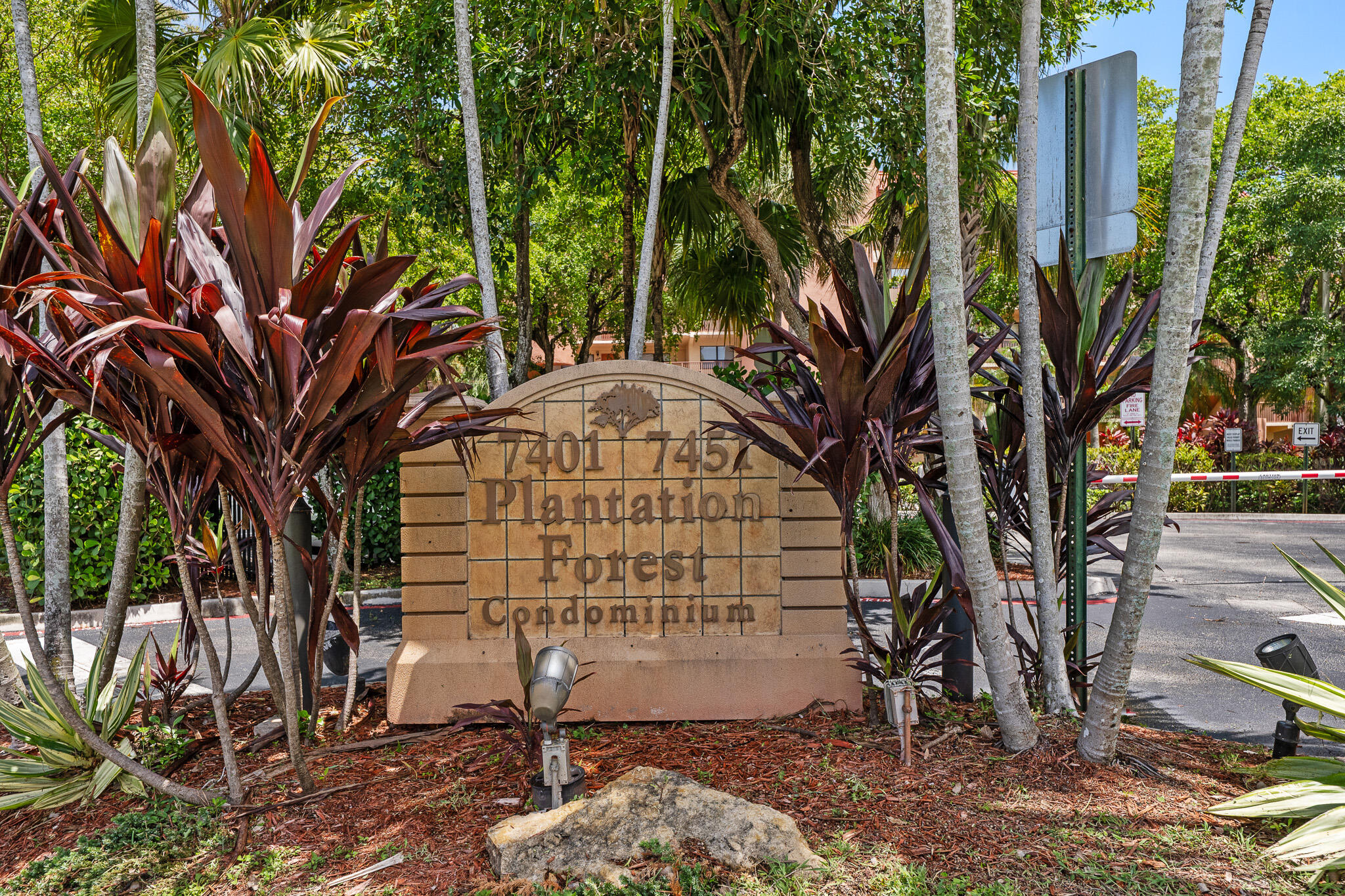 Plantation photo 1