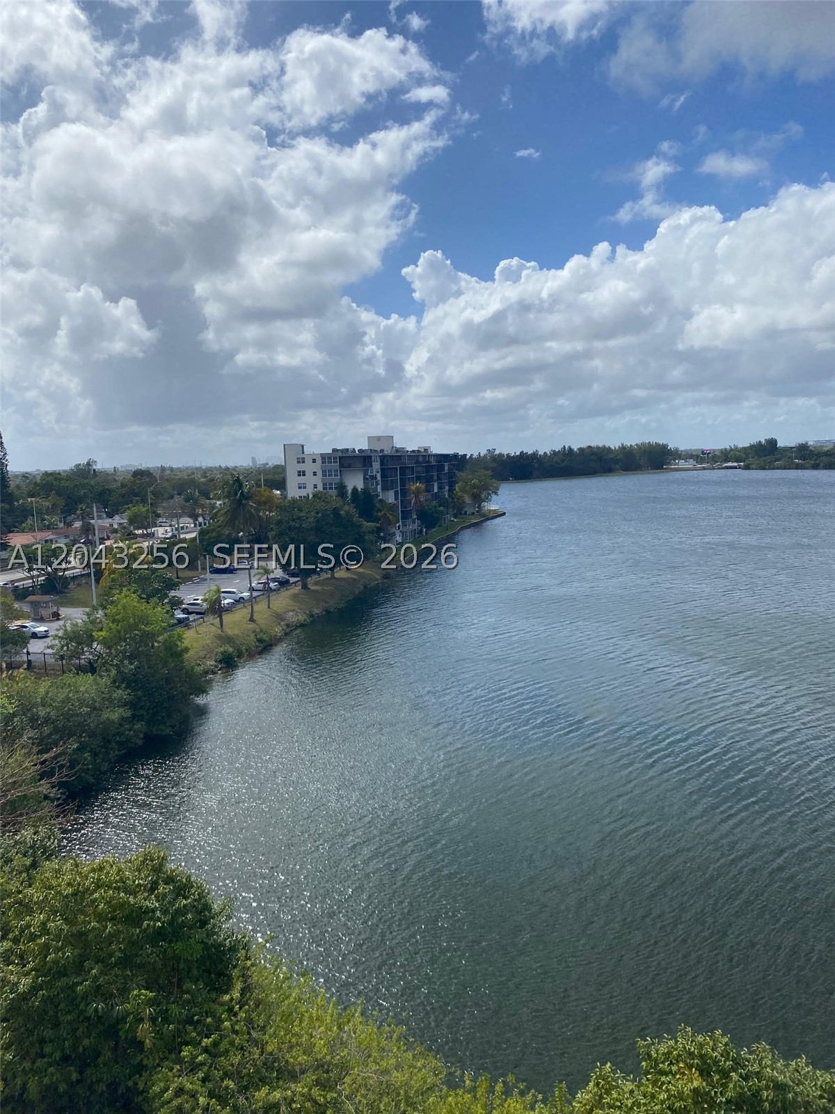 Miami photo 4