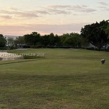 Davie photo 2