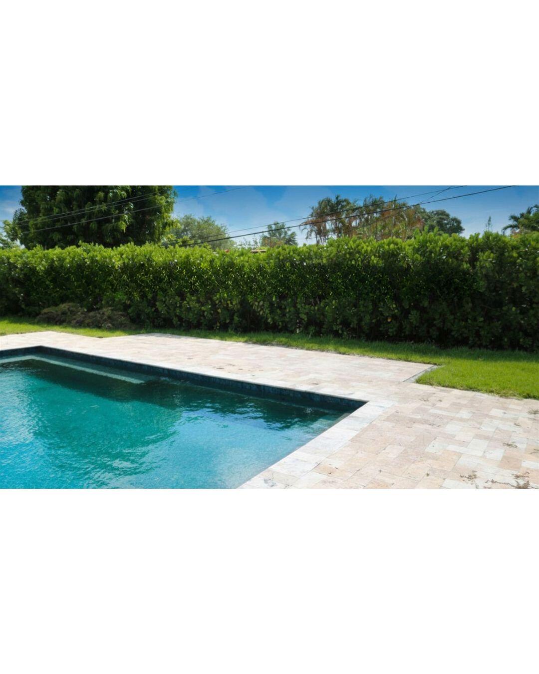 Wilton Manors photo 3