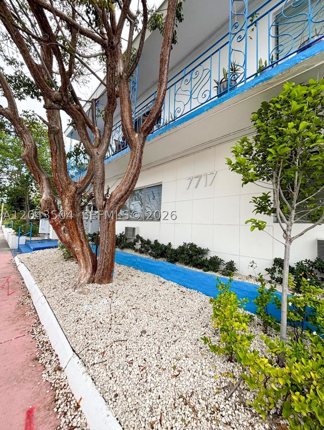 Miami Beach photo 5